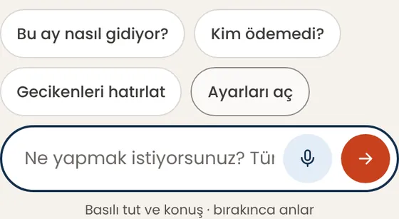 Uygulamaya ne istediğimi kendi dilimde söyleyebilir miyim?