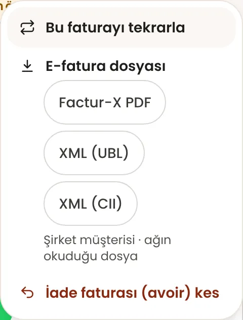Faturamın elektronik dosyasını (XML / Factur-X) nereden alırım?