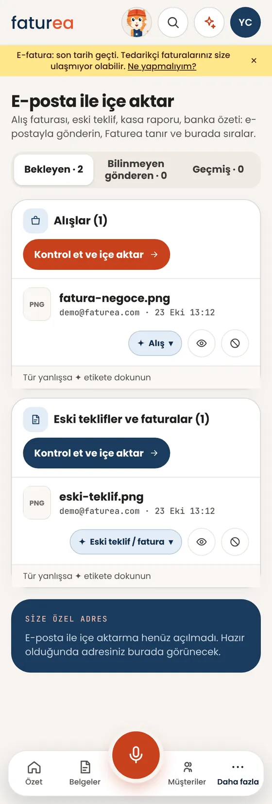 Alış faturalarımı e-postayla gönderebilir miyim?